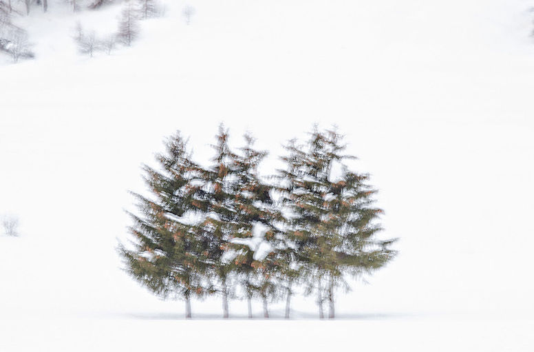 Vinzenz Wyser : Dancers in the snow